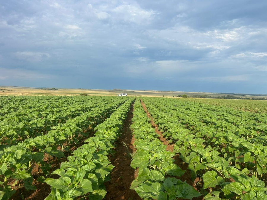 Commercial Property for Sale in Zastron Rural Free State